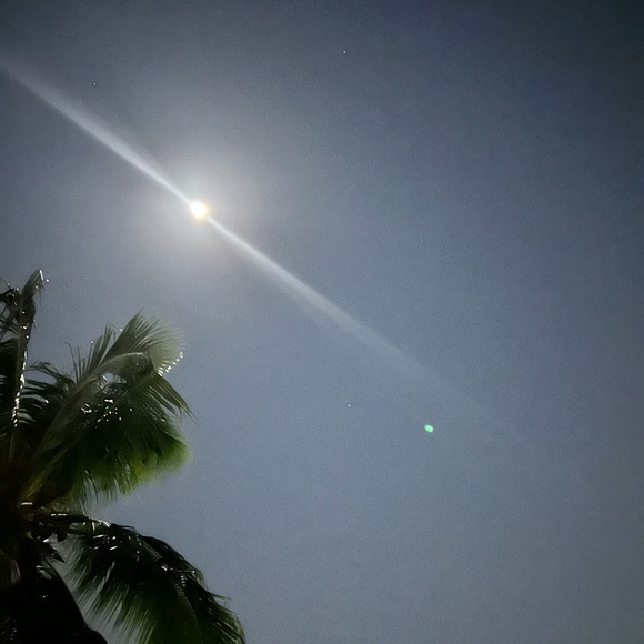 Meet your Posher, Yeymi - Picture 1 of 1